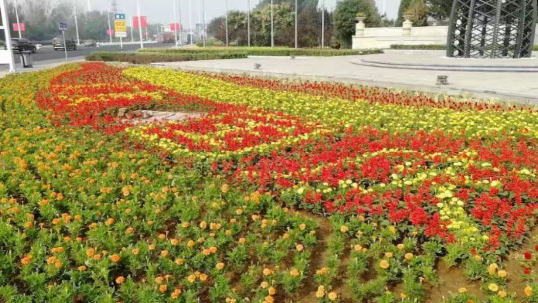 园区环境美 喜迎国庆节(图3)