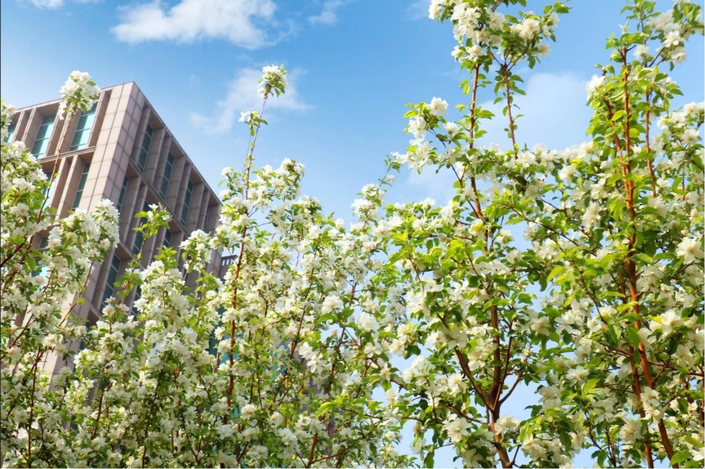 看，京津科技谷-精品无码国产自产野外拍-国产欧美日本一区二区-777777777少妇流水视频-日本理论片午午伦夜理片2024-亚洲第一免费视频-麻豆久久五月综合-亚洲变态另类专区丝袜自拍-97天堂国产在线观看“春色满园”！(图12)