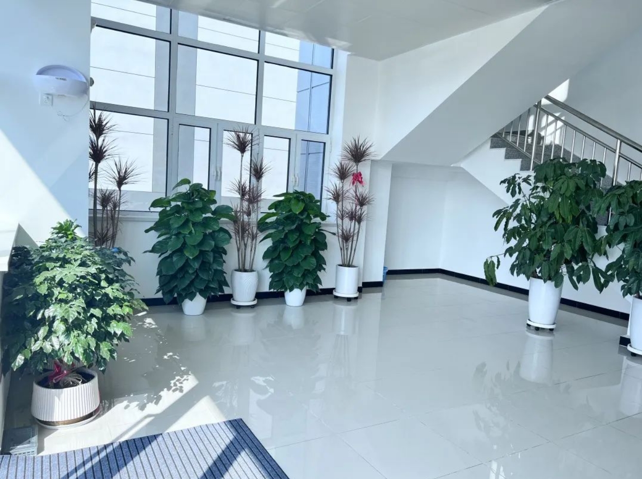 武汉风味“老品牌”进武清，来尝！(图7)