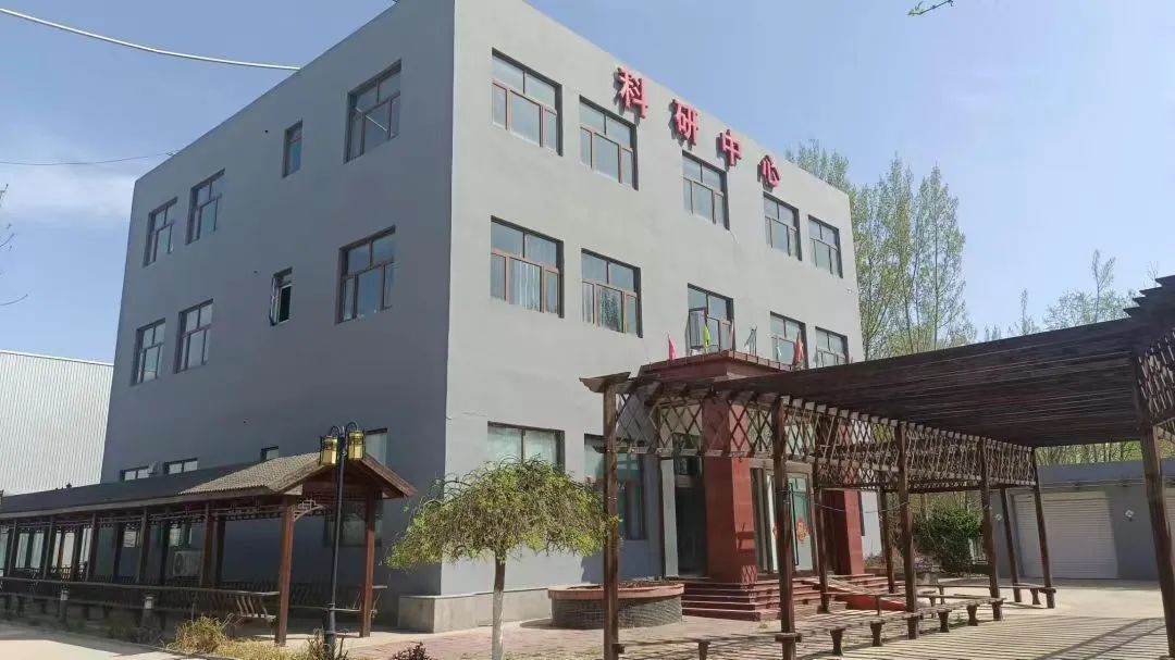 【党建领航促发展】坚持“三强化三提升”，以高质量党建引领高质量发展(图15)